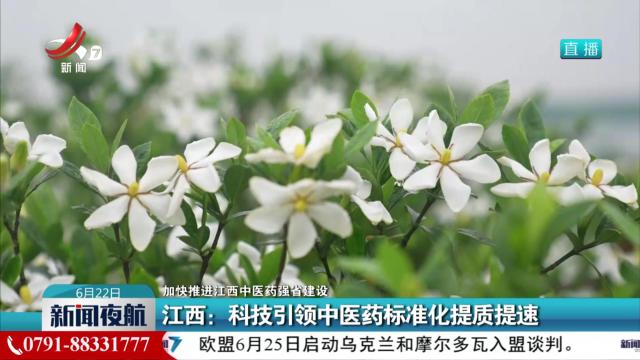 【加快推进江西中医药强省建设】江西：科技引领中医药标准化提质提速