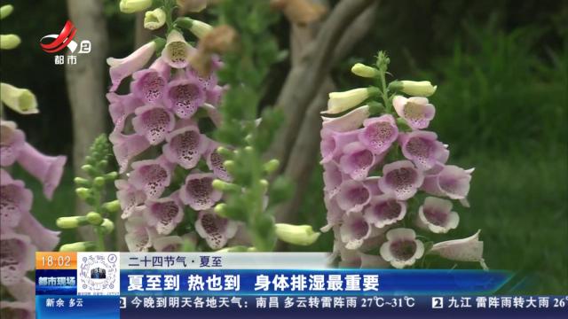 【二十四节气·夏至】夏至到 热也到 身体排湿最重要