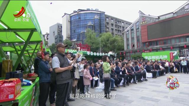 20240610《江西有好物》高安辣椒就是香甜