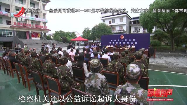 落槌有声20240617 残杀梅花鹿的代价