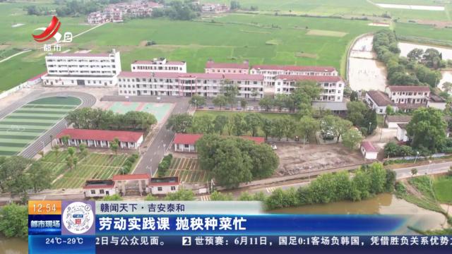 【赣闻天下】吉安泰和：劳动实践课 抛秧种菜忙