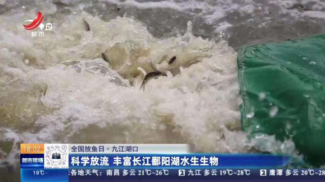 【全国放鱼日】九江湖口：科学放流 丰富长江鄱阳湖水生生物