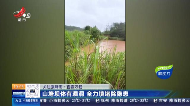 【关注强降雨】宜春万载：山塘坝体有漏洞 全力填堵除隐患