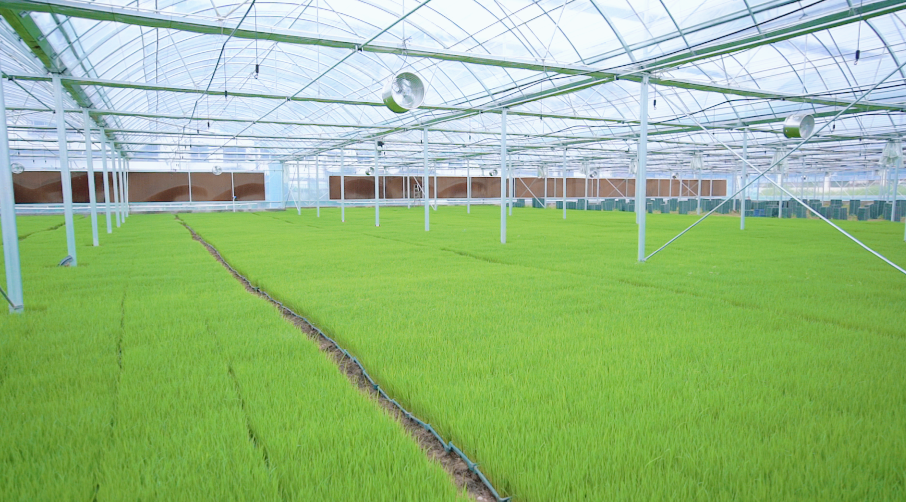 江西萍乡：科技赋能让农业生产更“智慧”