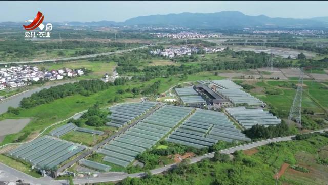 三农头条20240612