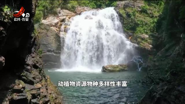 绿野秘踪20240607