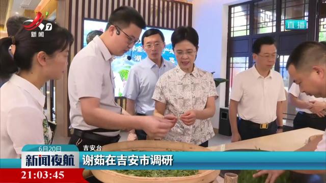 谢茹在吉安市调研