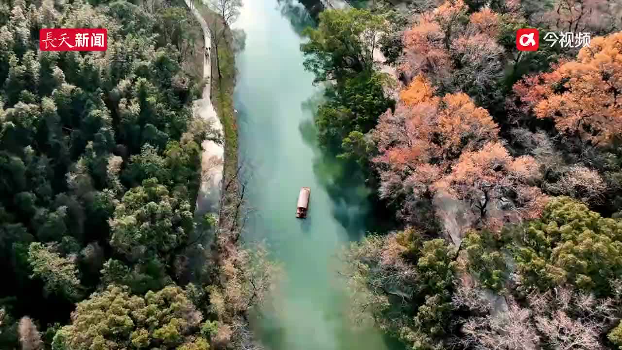 “河”其精彩 “靖”观港背村从荒山秃岭变成生态旅游村 
