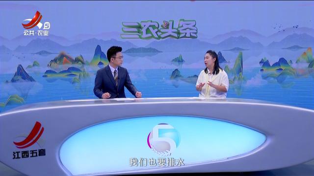 三农头条20240629