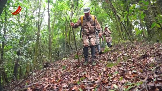 《美丽江西 我们在行动》：江西官山国家级自然保护区——坚守与传承