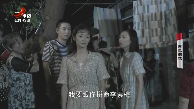 乡村栏目剧场20240628 再见桐花