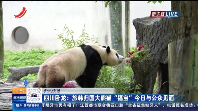 四川卧龙：旅韩归国大熊猫“福宝”今日与公众见面