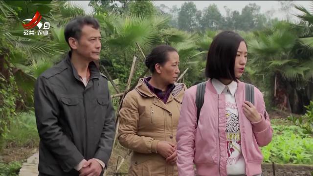 乡村栏目剧场20240604 月是故乡明