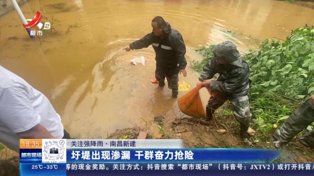 【关注强降雨】南昌新建：圩堤出现渗漏 干群奋力抢险