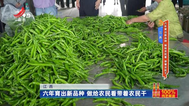 地宝当家20240620