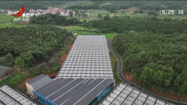 三农头条20240624