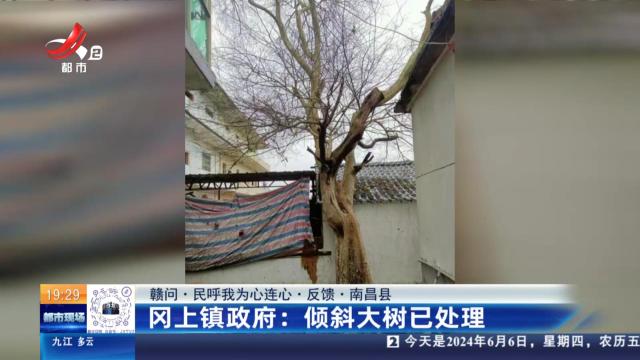 【赣问·民呼我为心连心·反馈·南昌县】冈上镇政府：倾斜大树已处理