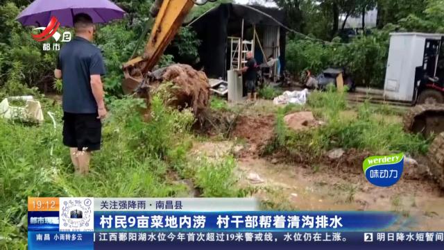 【关注强降雨】南昌县：村民9亩菜地内涝 村干部帮着清沟排水