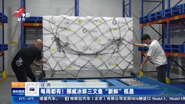 江西：每周都有！ 挪威冰鲜三文鱼“新鲜”抵昌