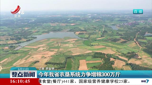 今年我省农垦系统力争增粮300万斤