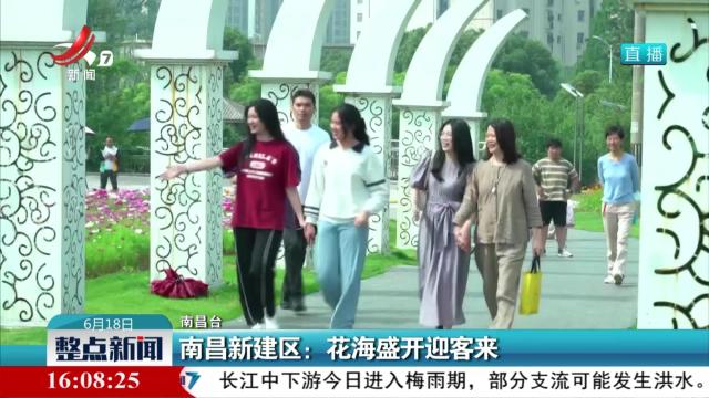 南昌新建区：花海盛开迎客来