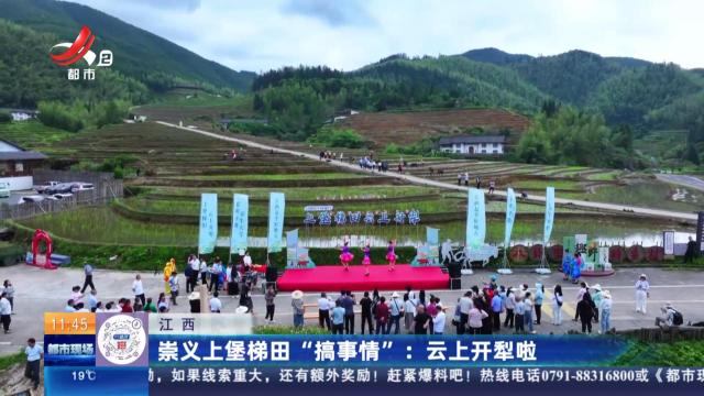 崇义上堡梯田“搞事情”：云上开犁啦