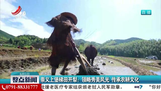 崇义上堡梯田开犁：领略秀美风光 传承农耕文化