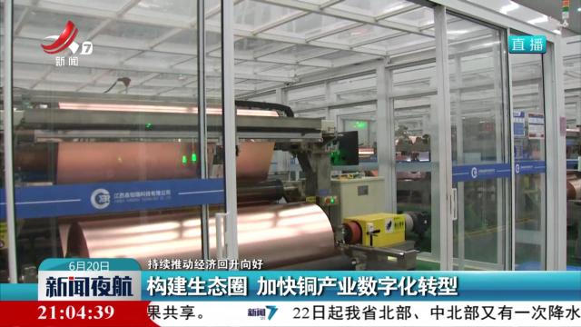 【持续推动经济回升向好】构建生态圈 加快铜产业数字化转型