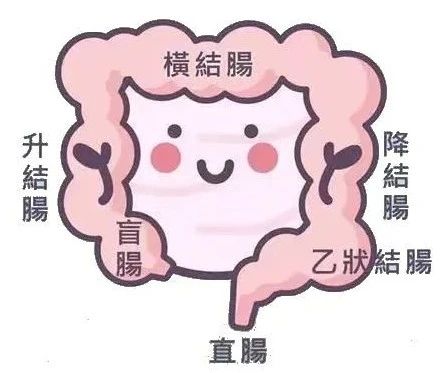 新生儿光吃不拉,“蛙状腹”......这个原因您想到了吗？