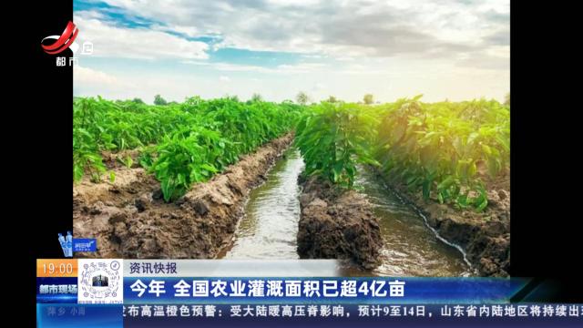 今年 全国农业灌溉面积已超4亿亩