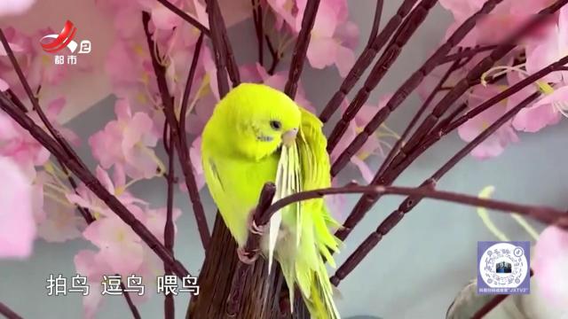 今日热点——店长竟然是小鸟？“呆萌员工”更是治愈系