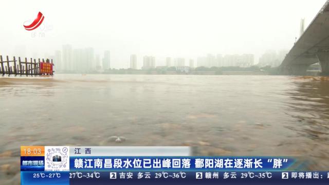 江西：赣江南昌段水位已出峰回落 鄱阳湖在逐渐长“胖”