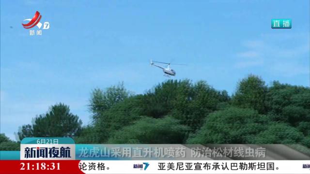 龙虎山采用直升机喷药 防治松材线虫病