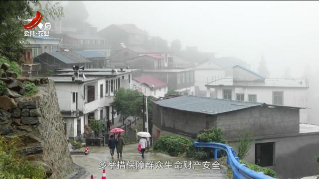 三农头条20240627