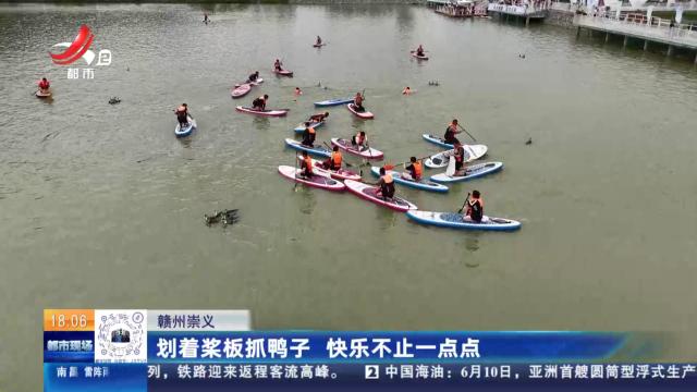 赣州崇义：划着浆板抓鸭子 快乐不止一点点