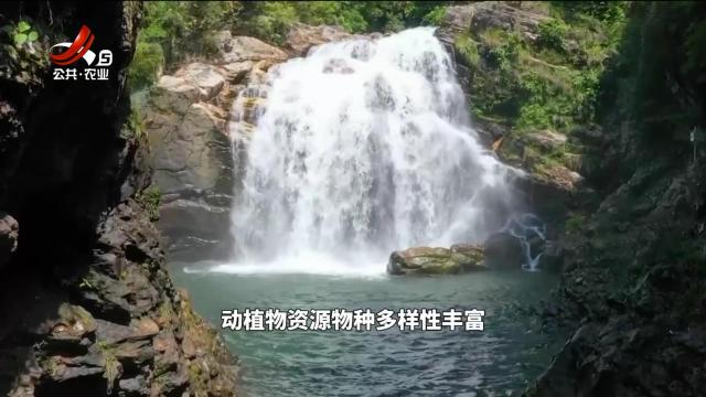 绿野秘踪20240610