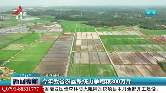 今年我省农垦系统力争增粮300万斤