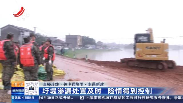 【直播连线·关注强降雨】南昌新建：圩堤渗漏处置及时 险情得到控制