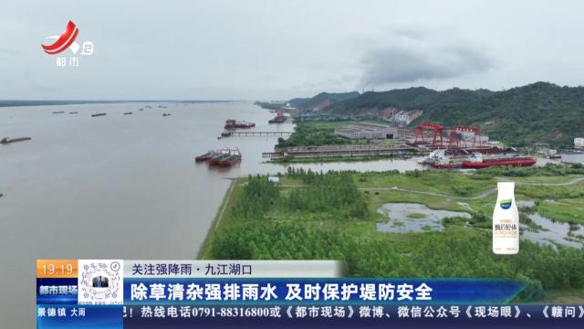 【关注强降雨】九江湖口：除草清杂强排雨水 及时保护堤防安全