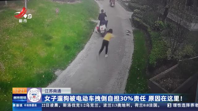 江苏南通：女子遛狗被电动车拽倒自担30%责任 原因在这里！