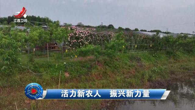 社会传真20240604 活力新农人 振兴新力量