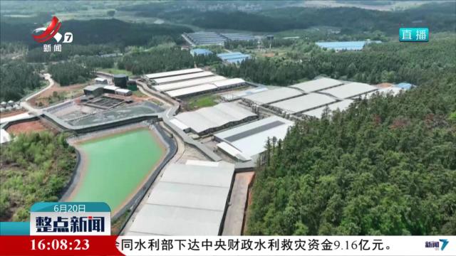 我省进一步优化生猪产能调控措施