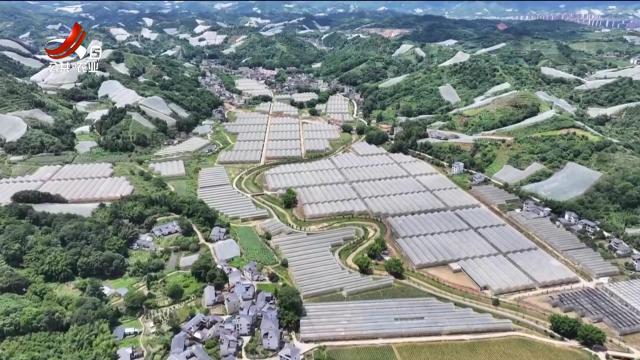 三农头条20240630