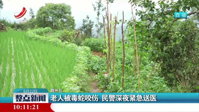 老人被毒蛇咬伤 民警深夜紧急送医