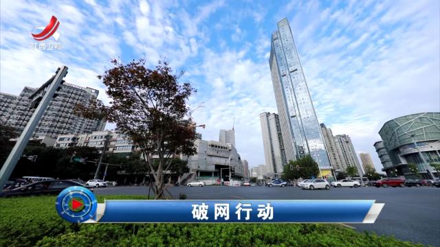 社会传真20240626 破网行动