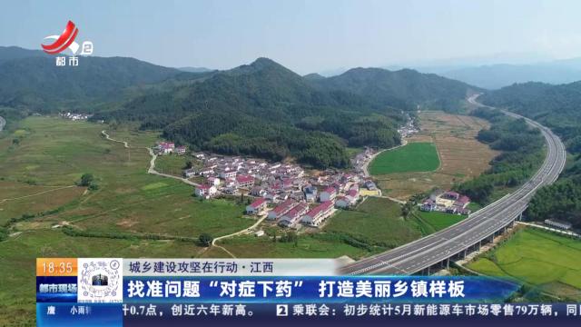 都市现场20240605
