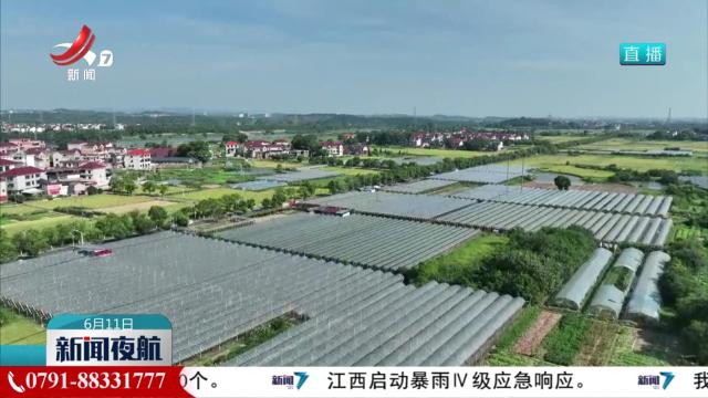 新闻夜航20240611