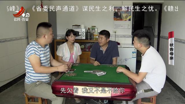 乡村栏目剧场20240531 状告母亲