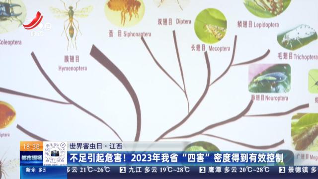 【世界害虫日】江西：不足引起危害！2023年我省“四害”密度得到有效控制