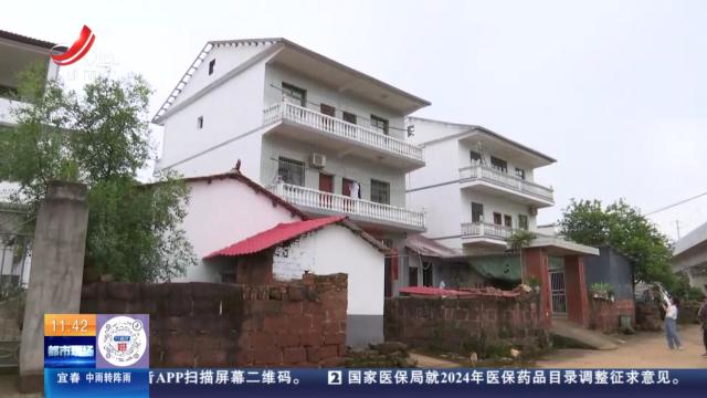 都市现场·午间版20240614